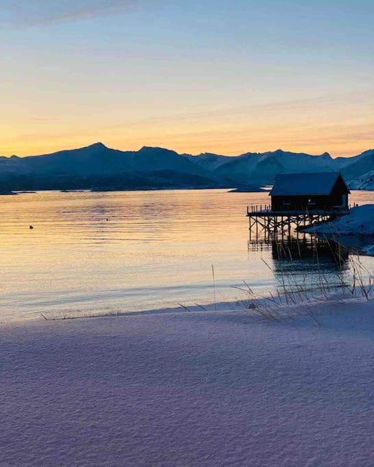 Holiday Home With Sauna In The Arctic Caribbean, Tromsø Eksteriør bilde